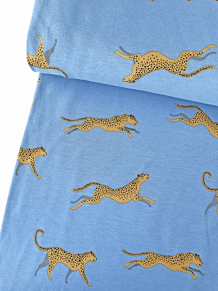 Punto de leopardos sobre fondo azul celeste